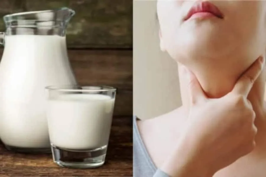 6 Jenis Makanan Yang Bagus Untuk Pesakit Tiroid, Produk Tenusu Wajib Ada!