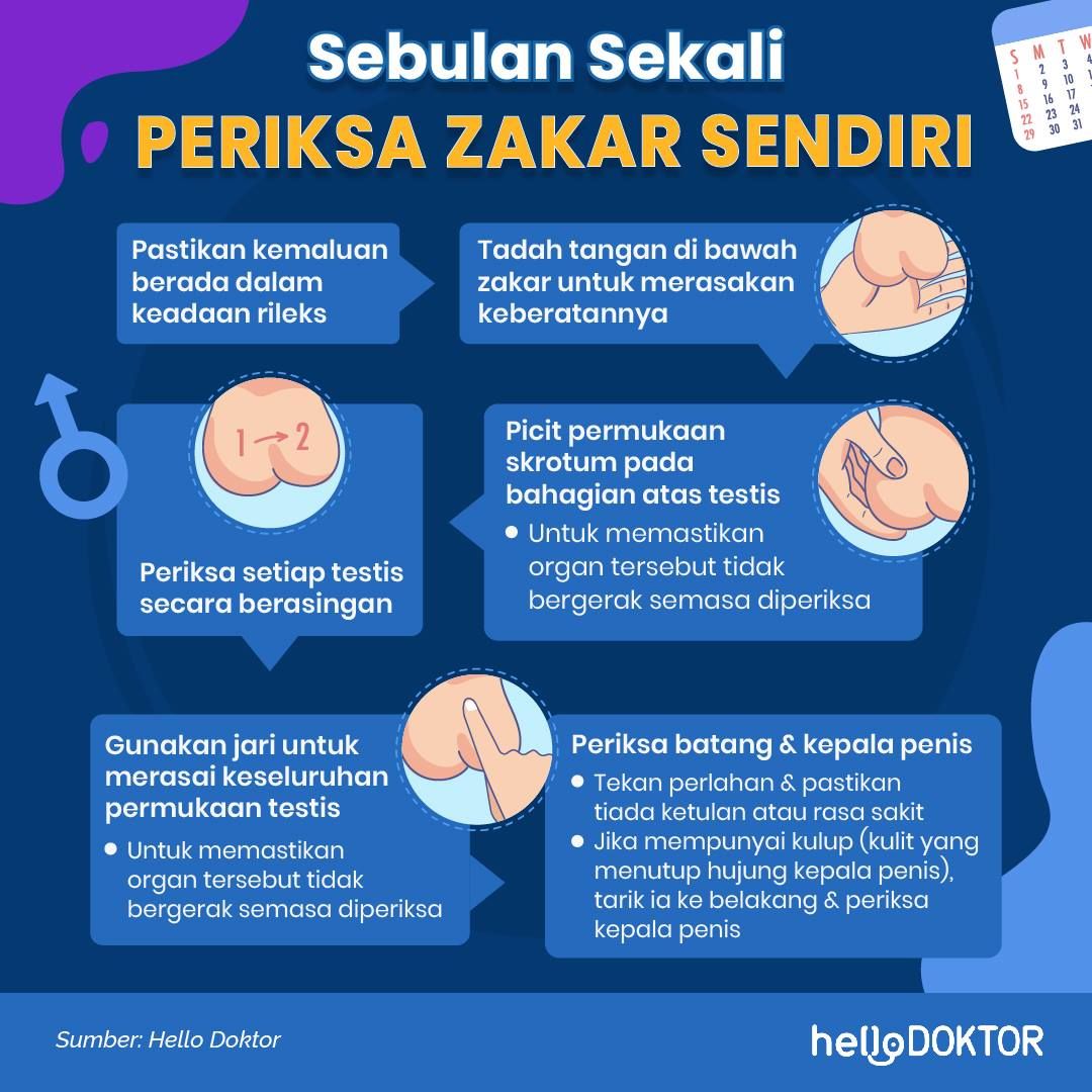 telur lelaki kendur