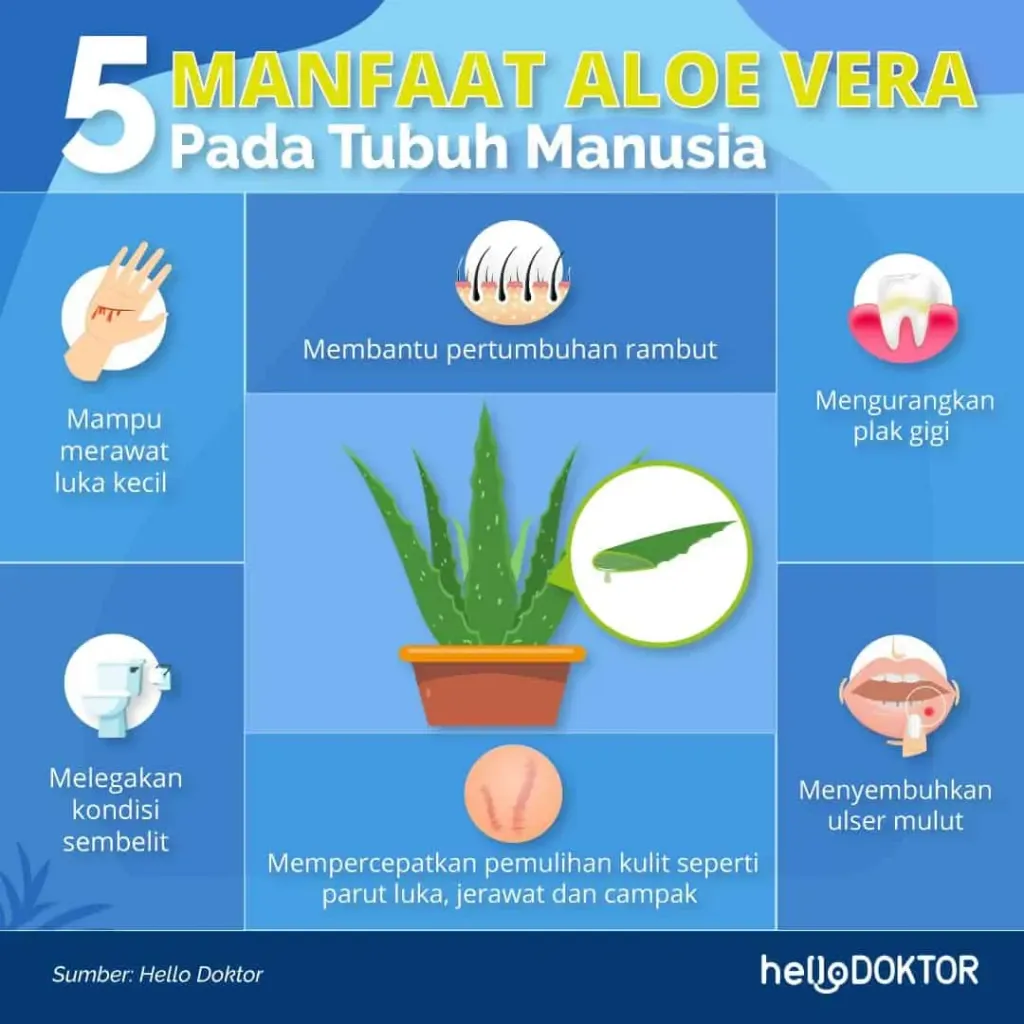 cara merawat tidak datang haid