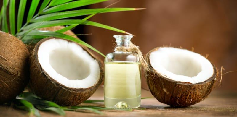 Natural Skin Savior from Tropical Paradise: The Antimicrobial Marvel of Activated Virgin Coconut Oil