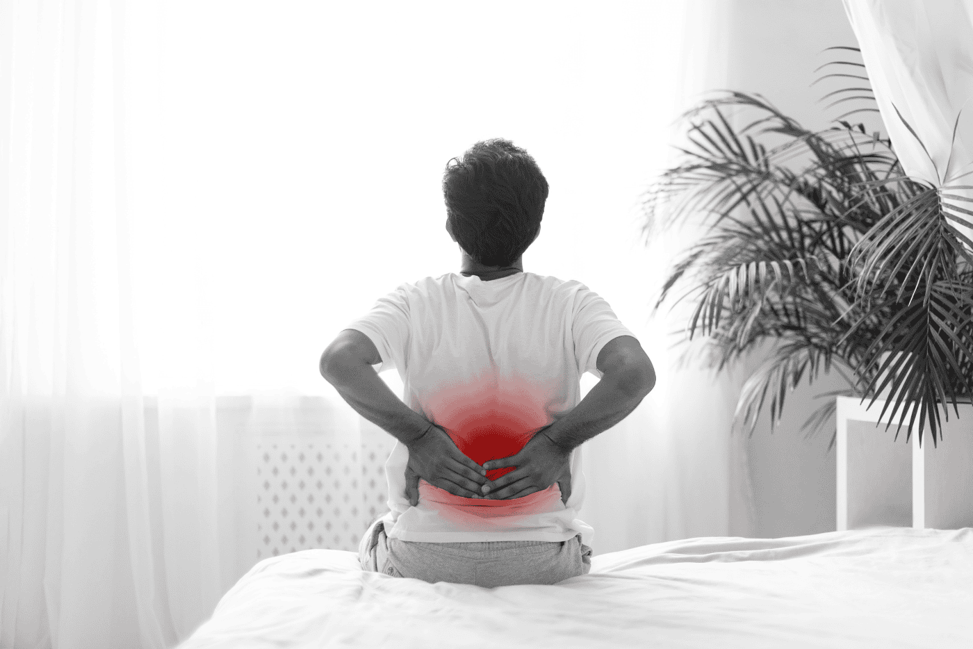 Selalu Sakit Tulang Punggung? Ini 9 Penyebabnya, Cek Sekarang!