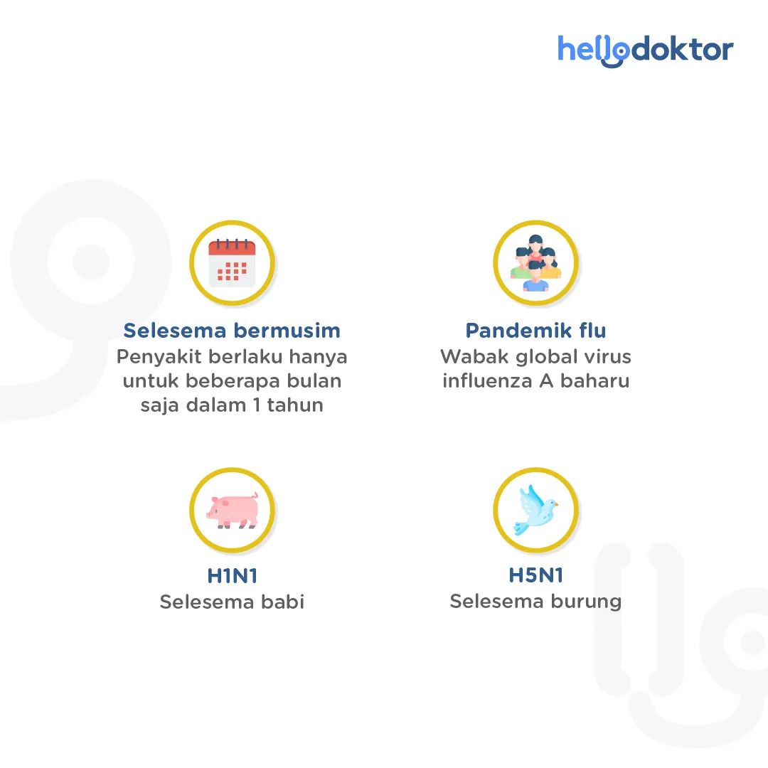 ubat selsema paling berkesan