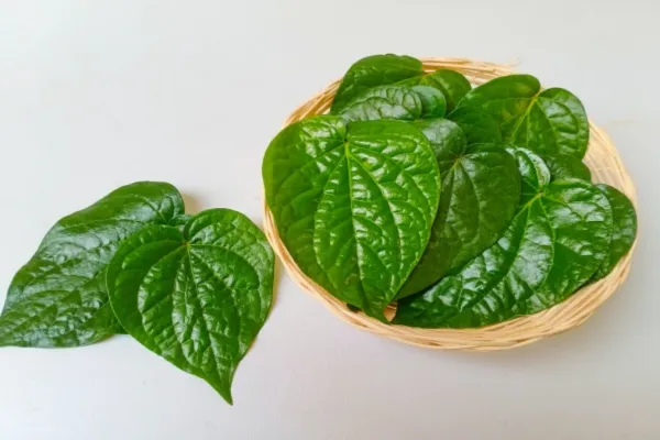 ubat kayap cara kampung