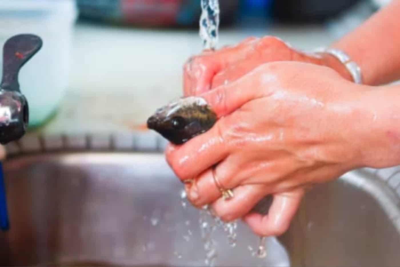 Wanita Tak Perlu Malu Kalau Tak Pandai Siang Ikan, Ini Cara Mudah Siang Guna Pisau & Gunting!