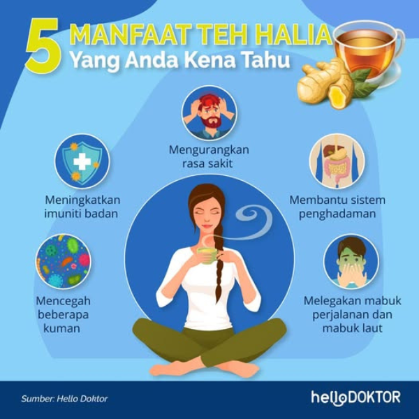 ubat alahan mengandung