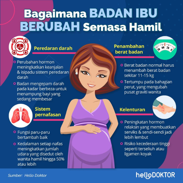 bentuk perut awal kehamilan
