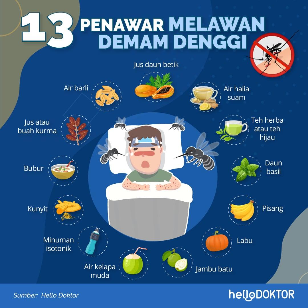 penyakit denggi