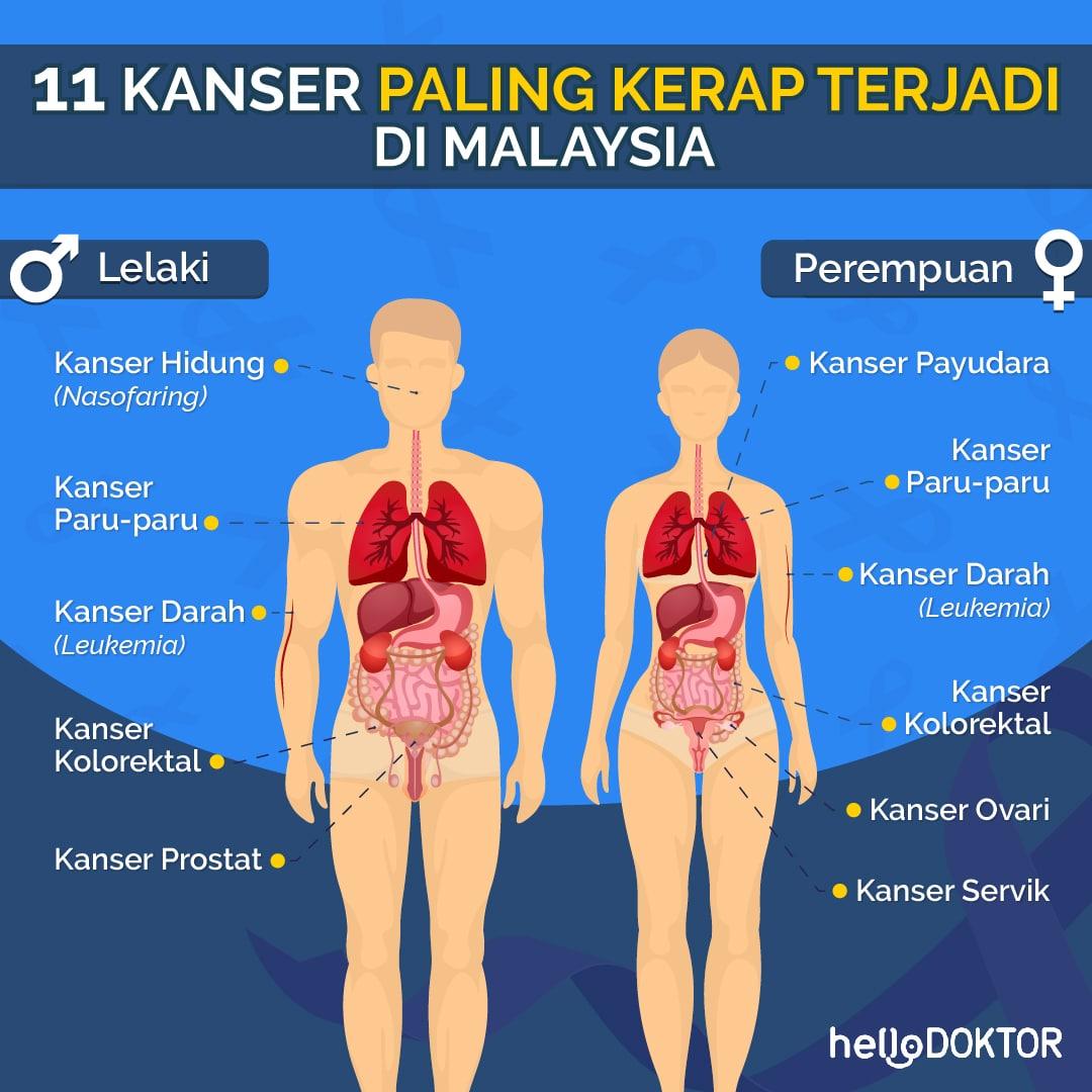 bulu mata