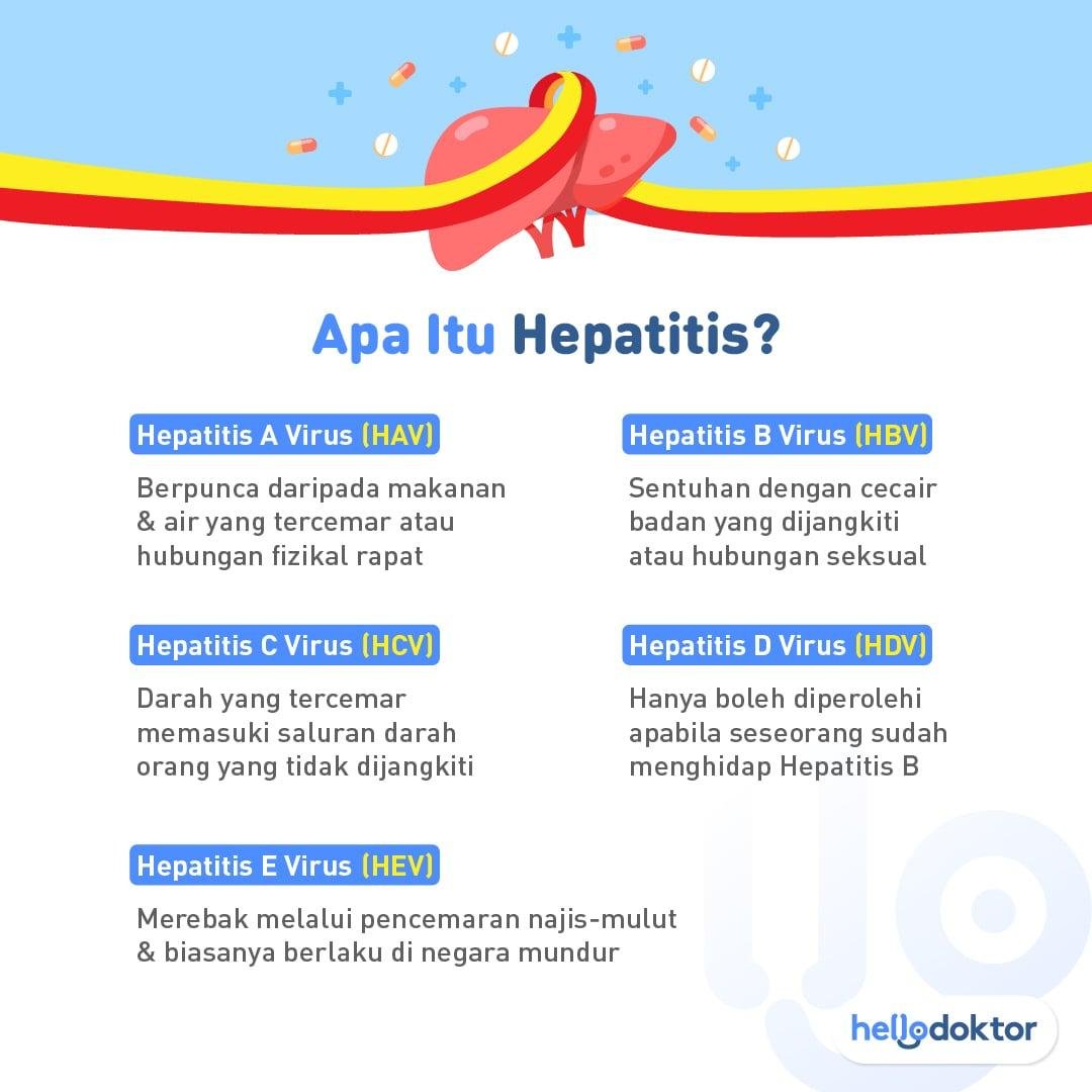 maksud hepatitis