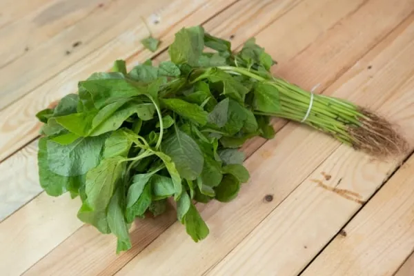 makanan pantang gout