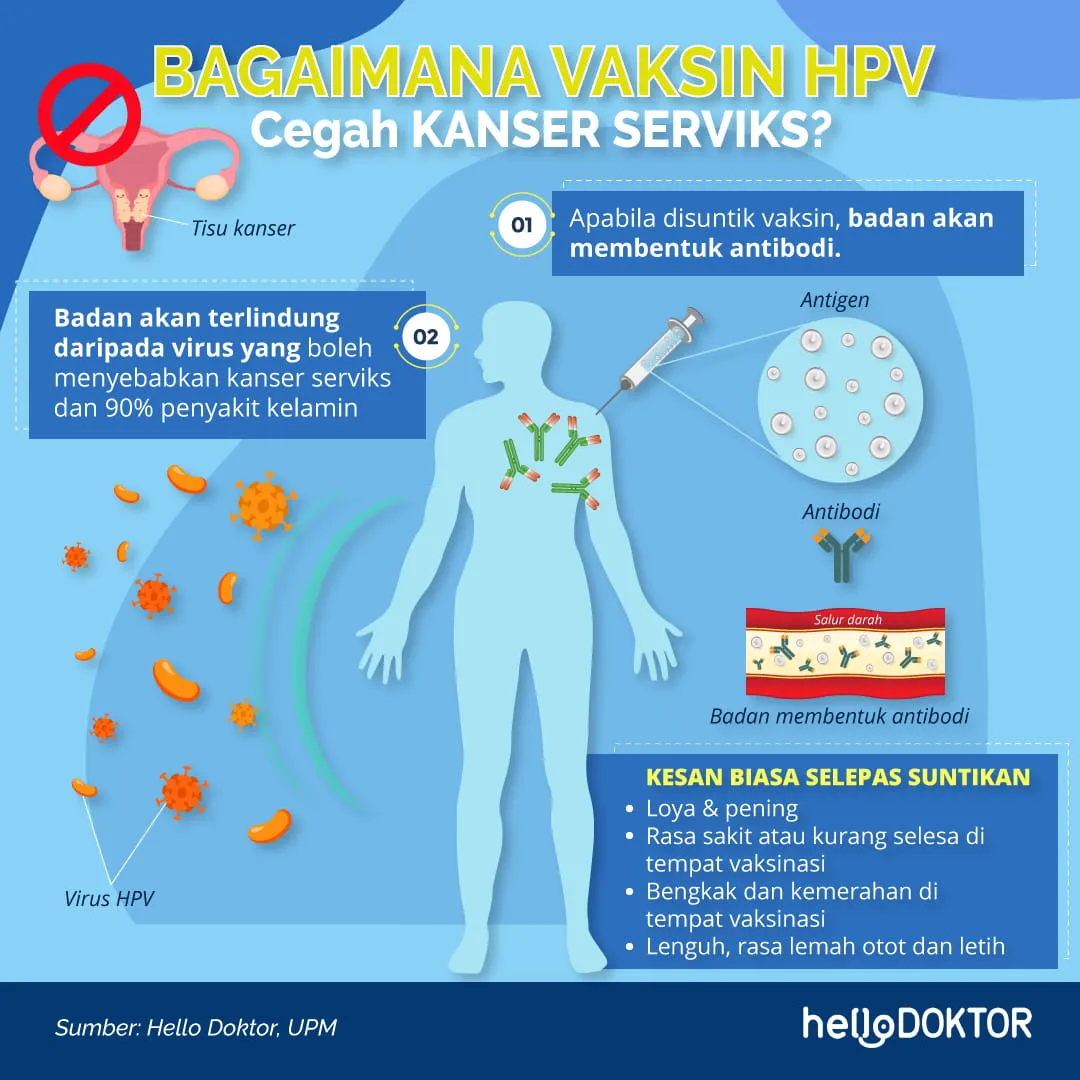 tanda hpv pada lelaki