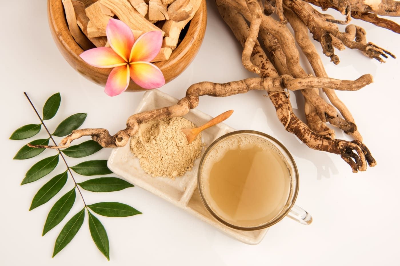 kelebihan-tongkat-ali