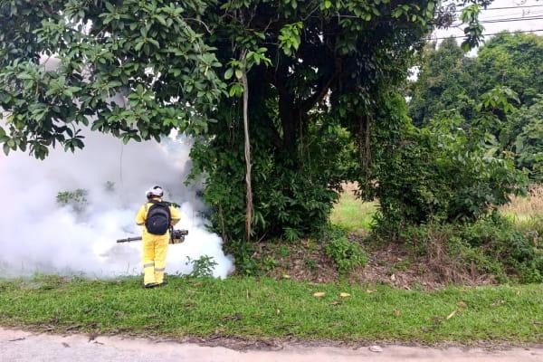tangan bintik merah denggi
