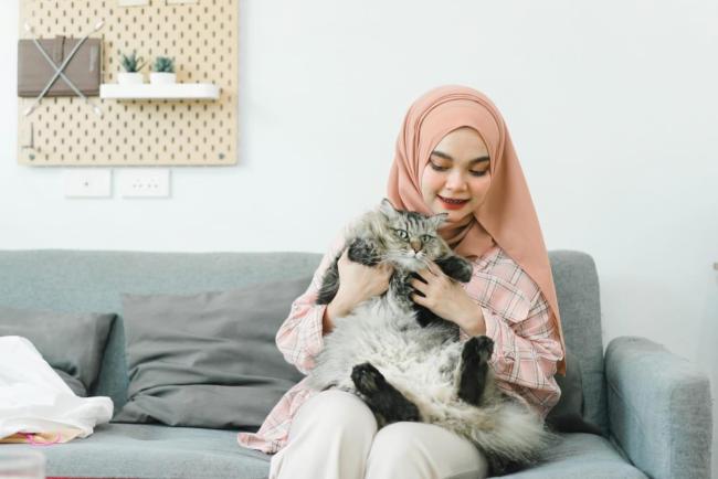 Rumah Ada Kucing Boleh Jadi Punca Bersin, Gatal & Jangkitan? Ini Yang Ibu Ayah Perlu Tahu