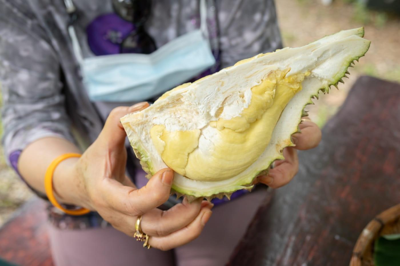 Betul Ke Durian Tak Boleh Makan Dengan Manggis? Ada Pantang Ke Kalau Makan Dengan Ubat?
