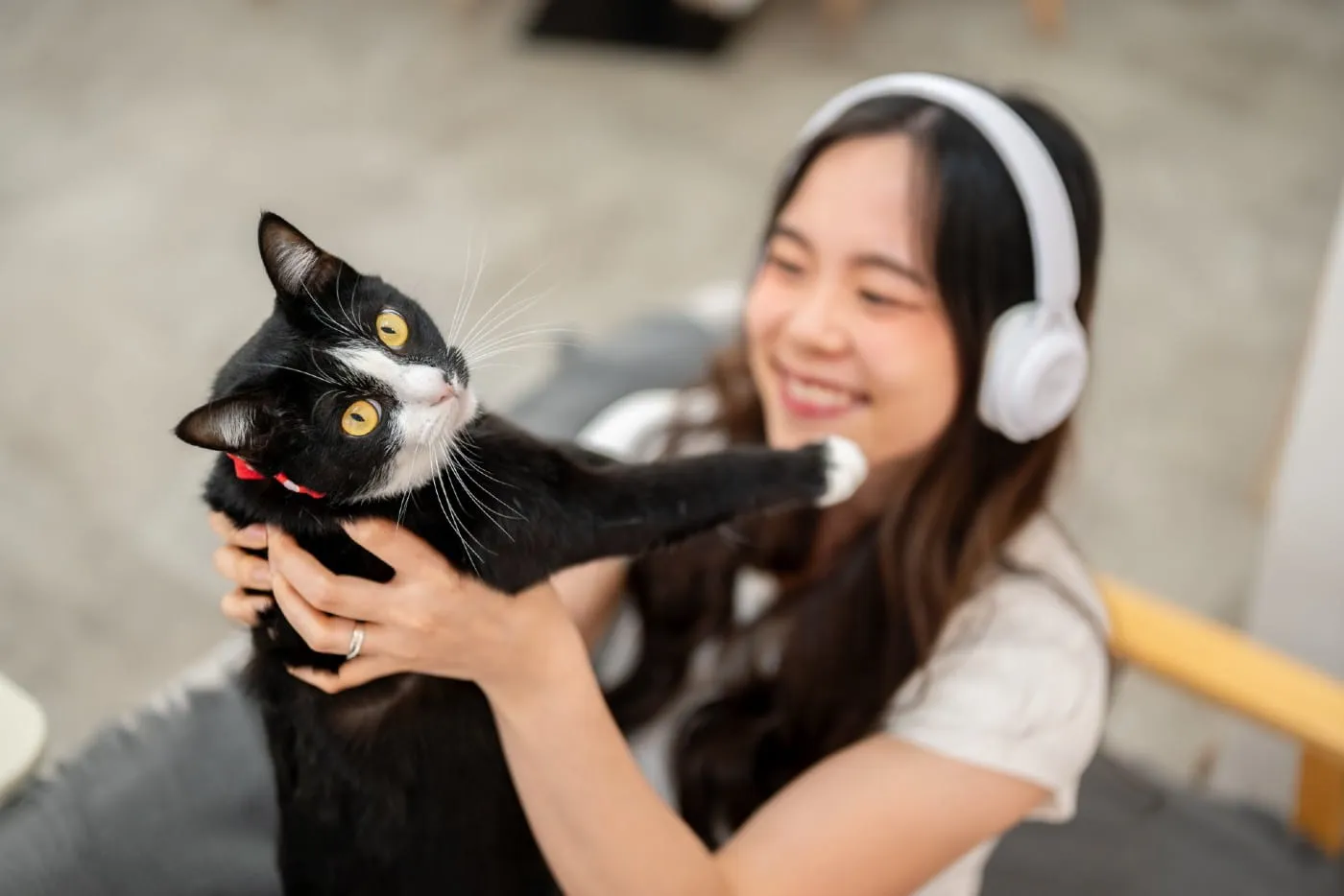 Menarik! Ini Cara Nak Kira Persamaan Umur Kucing Dengan Umur Manusia - Hello Doktor