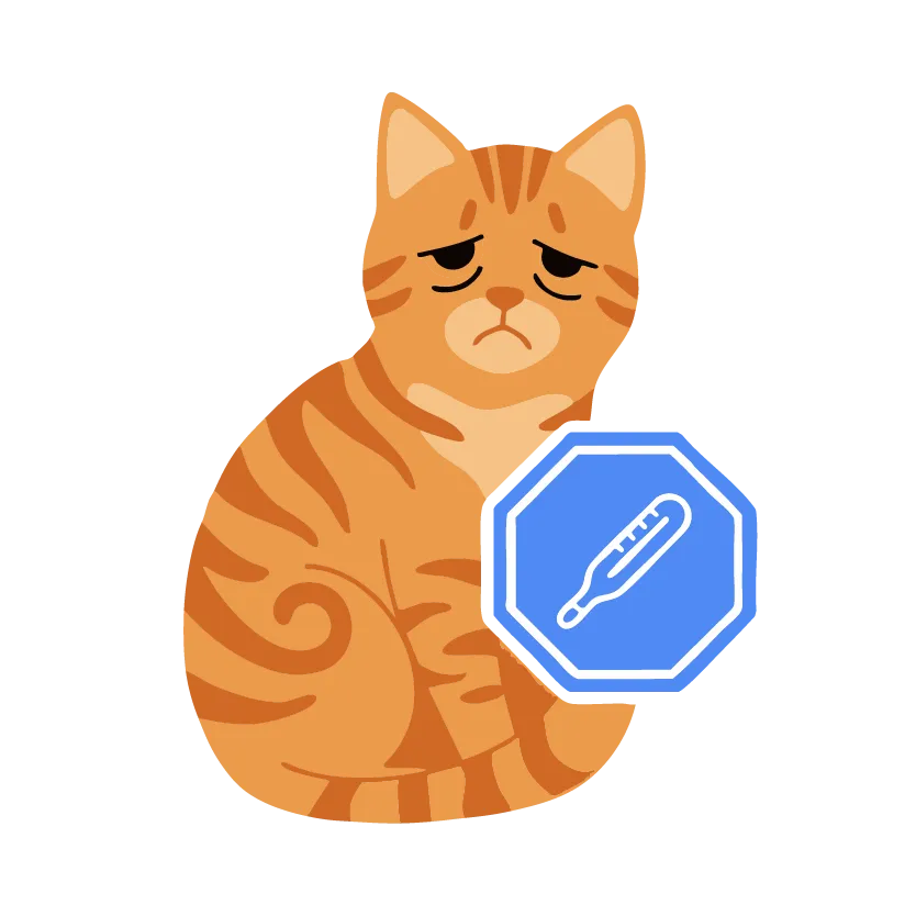 Simptom Kucing